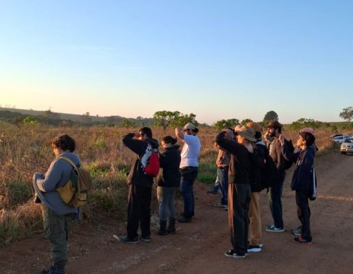 Foto - Festival de Aves 2025