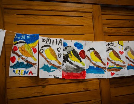 Foto - Festival de Aves 2025