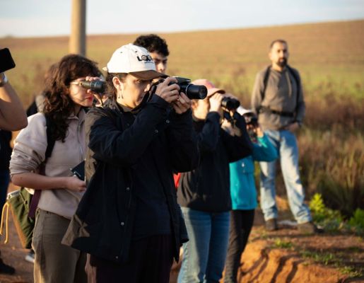 Foto - Festival de Aves 2025