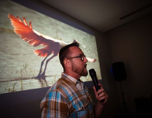 Foto - Festival de Aves 2025