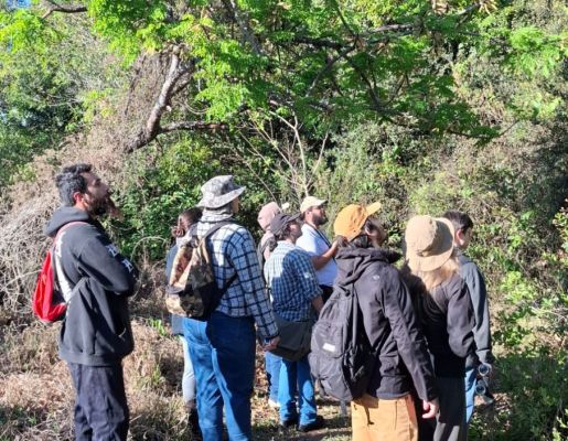 Foto - Festival de Aves 2025