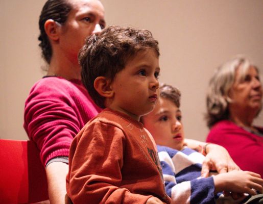 Foto - Festival de Aves 2025