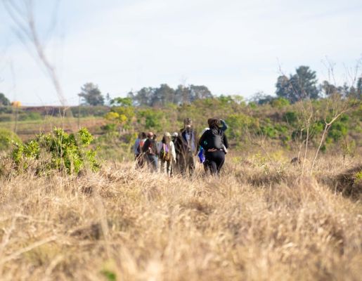 Foto - Festival de Aves 2025