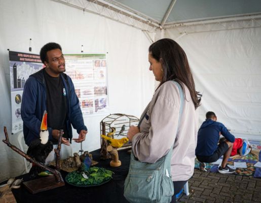 Foto - Festival de Aves 2025