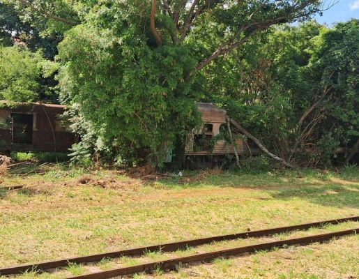 Foto - Passeio Guiado Marcos da Ferrovia 30/11/2025