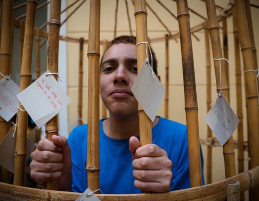 Foto - Festival de Aves 2025