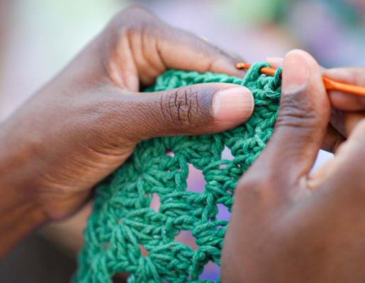 Foto - Festival de Aves 2025