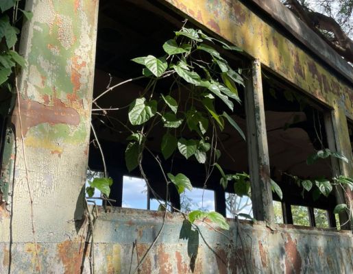 Foto - Passeio Guiado Marcos da Ferrovia 30/11/2025