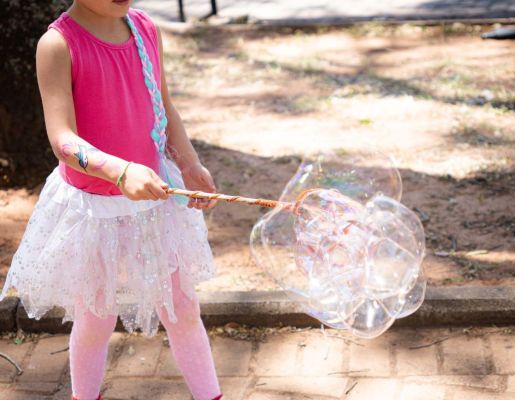 Foto - Festival de Aves 2025
