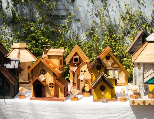 Foto - Festival de Aves 2025