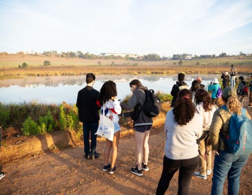 Foto - Festival de Aves 2025