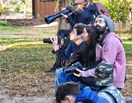 Foto - Festival de Aves 2025