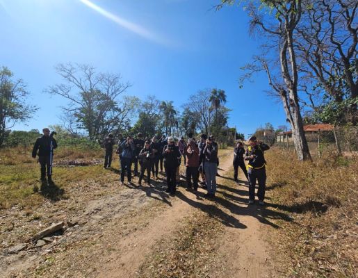 Foto - Festival de Aves 2025