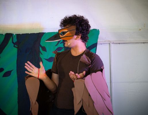 Foto - Festival de Aves 2025