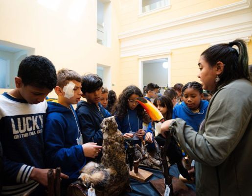 Foto - Festival de Aves 2025