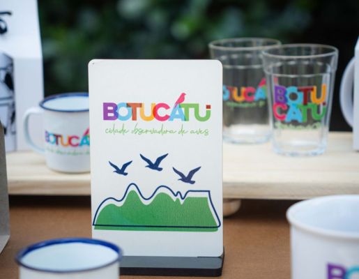 Foto - Festival de Aves 2025