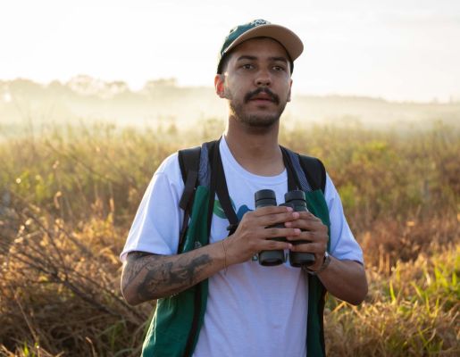 Foto - Festival de Aves 2025