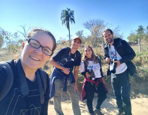 Foto - Festival de Aves 2025