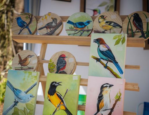 Foto - Festival de Aves 2025