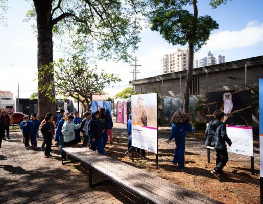Foto - Festival de Aves 2025