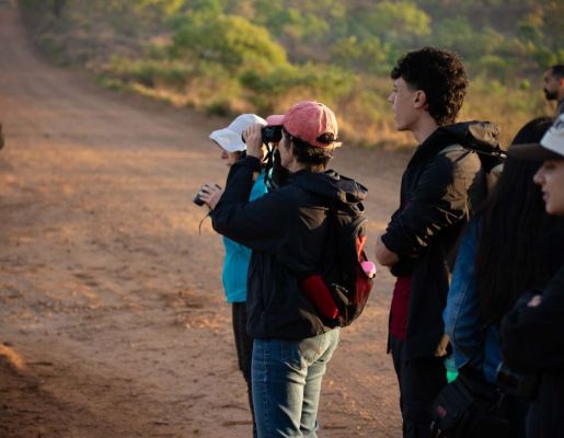 Foto - Festival de Aves 2025
