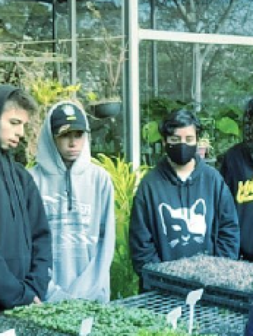 Nume Espaço Botânico