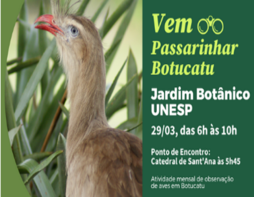 Primeira Passarinhada do ano será no domingo, dia 29