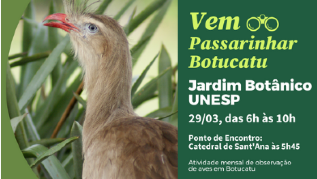 Primeira Passarinhada do ano será no domingo, dia 29